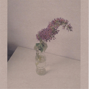 高h抽插乱伦视频
